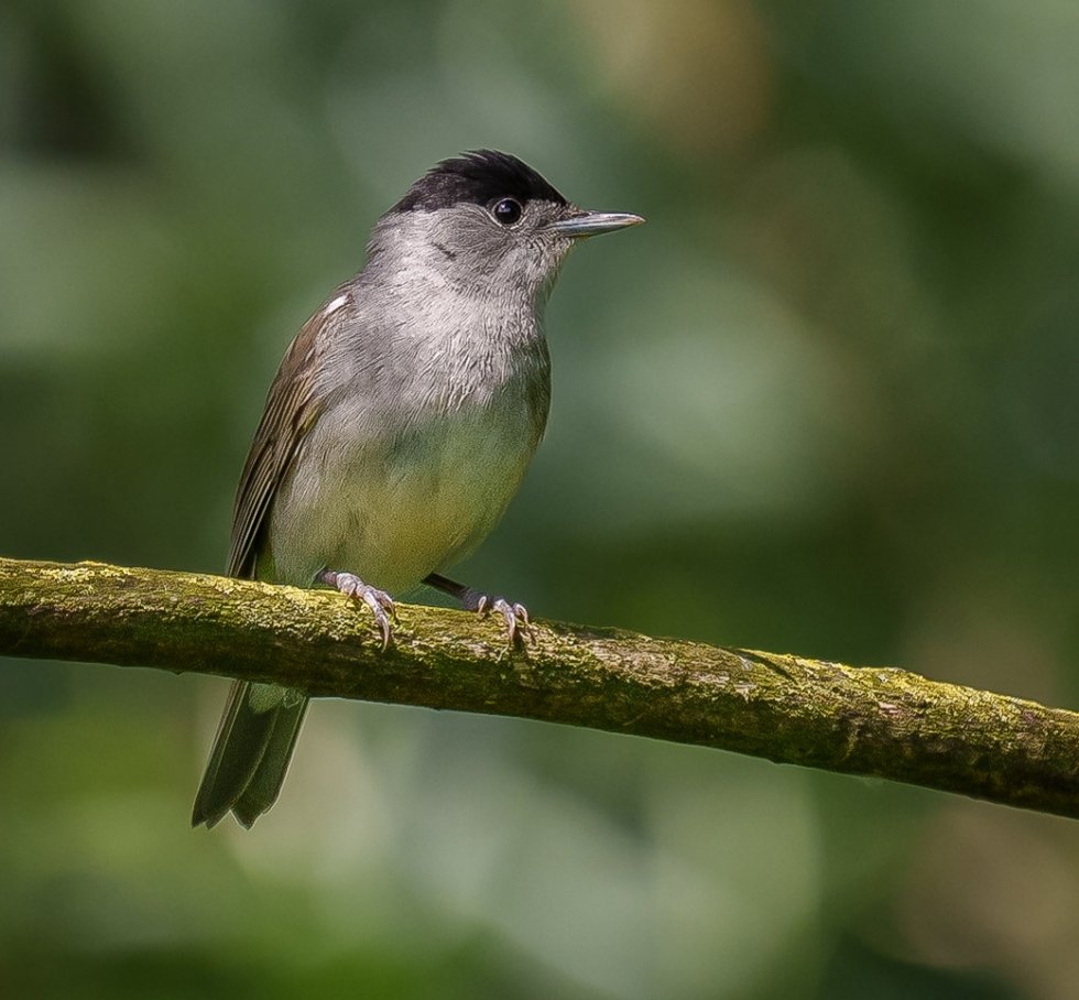Excursie vogelwerkgroep